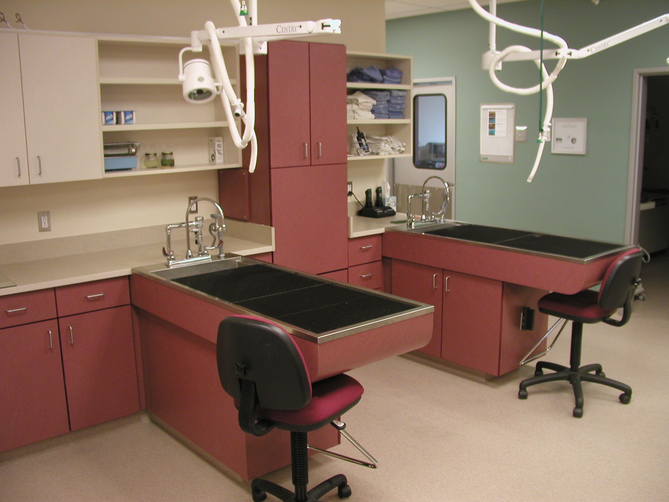 Vet Clinic in San Antonio Tour Our Office Pet Medical Center